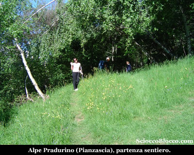 Alpe Casaravera