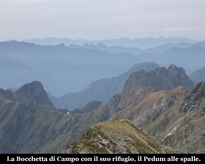 laurasca_campo.jpg