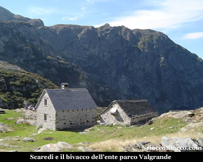 laurasca_scaredi.jpg
