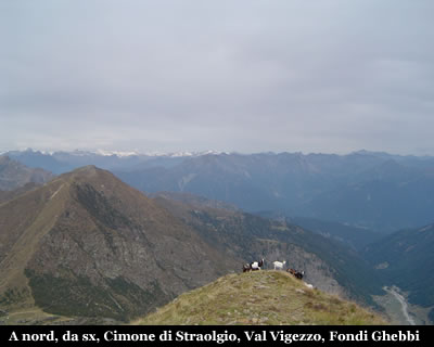 laurasca_straolgio.jpg