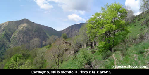 pan_scorsogno.jpg