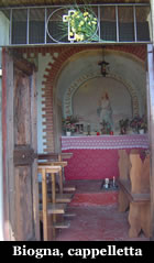 scareno_biogna-10.jpg