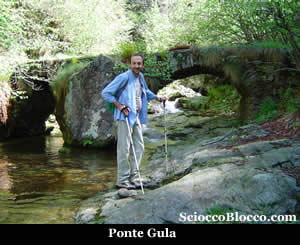 scareno_gula.jpg