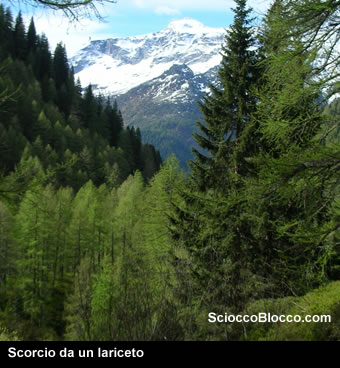 Laghi del Sangiatto, Bocchetta della Scarpia (Ciaspole)