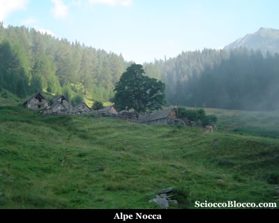 lagogelato_nocca.jpg