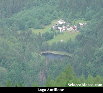 lagosup_antillone.jpg