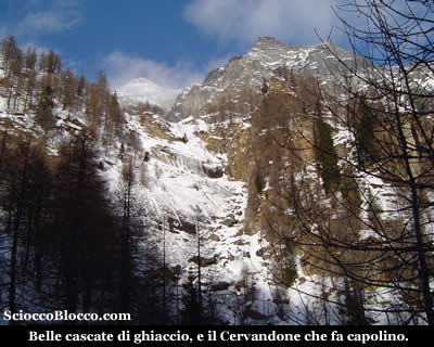 cazzola_cervandone.jpg