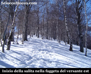 faie_faqggeta.jpg
