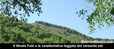 Monte_Faie.jpg