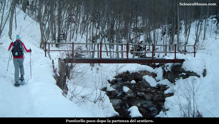 Monte Ziccher