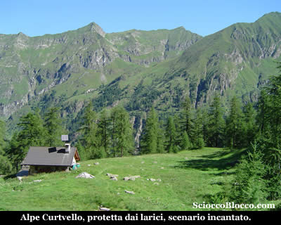 laforcola_curtvello.jpg