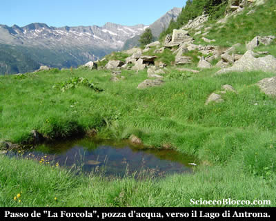 laforcola_passo.jpg