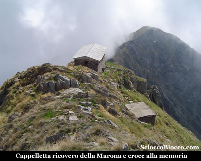 marona_cappelletta.jpg
