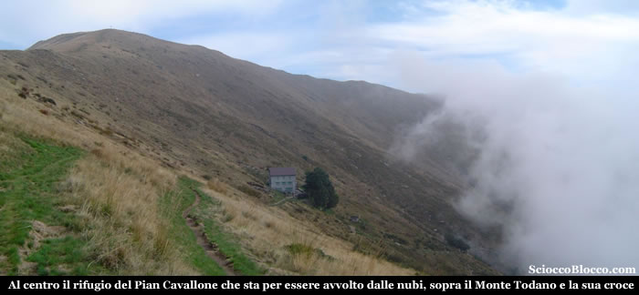 pan_rif_cavallone.jpg