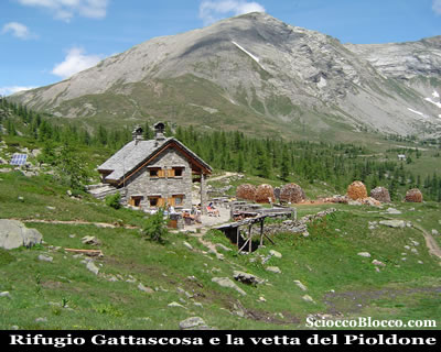 Monscera_Rif_Gattascosa.jpg