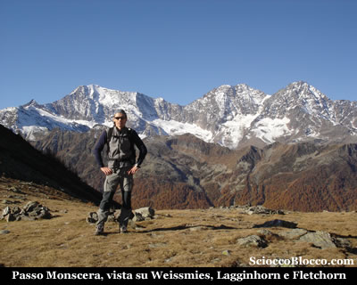 pioltone_monscera.jpg