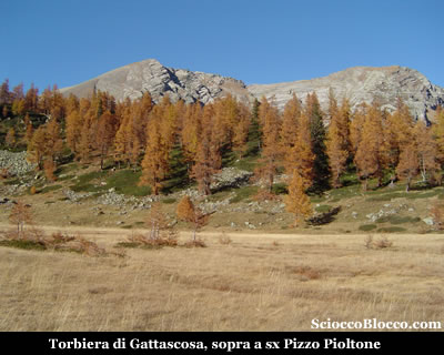 pioltone_torbiera.jpg