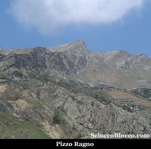 pizzoragno_ragno.jpg