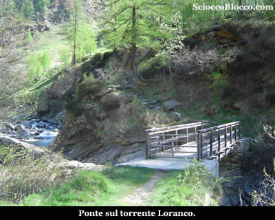 andolla_ponte.jpg