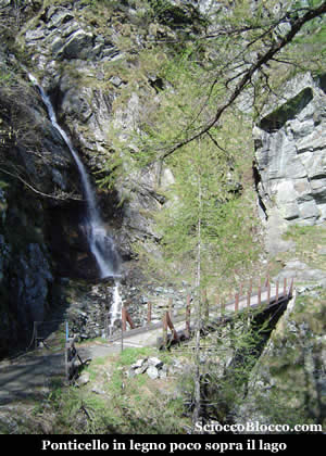 andolla_ponticello.jpg