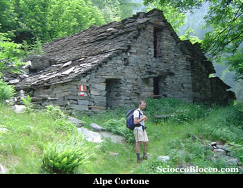 bonasson_cortone.jpg