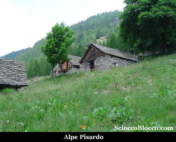 bonasson_pisardo.jpg