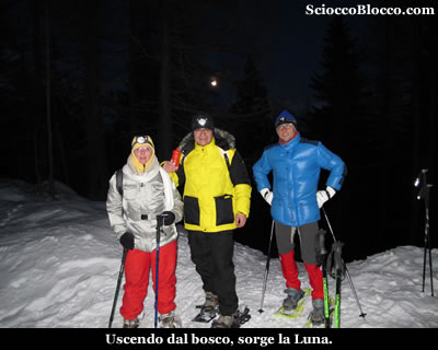stelle