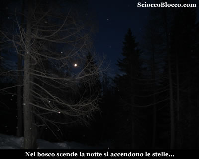 bosco