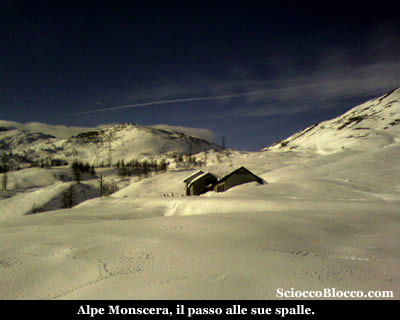 alpe monscera