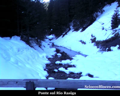 rio rasiga
