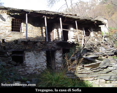 teia_casasofia.jpg