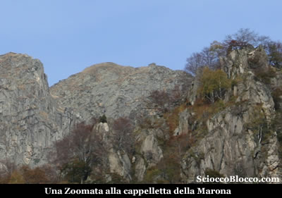 teia_marona.jpg