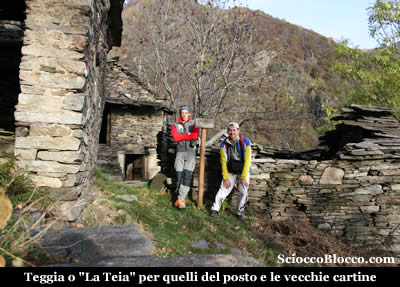 teia_teia.jpg