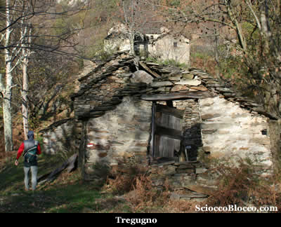 teia_tregugno.jpg