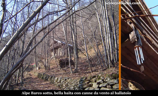 viganella_barcosotto.jpg