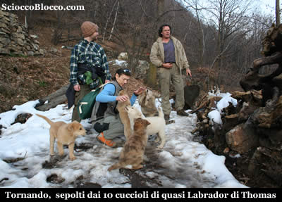 viganella_cani.jpg